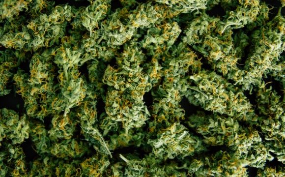 medical-marijuana-img-hemp-1.jpg